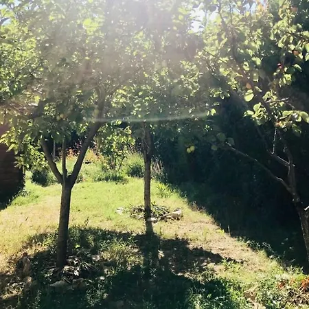 House With Garden, Downtown By Walk Apartment Vaison-la-Romaine